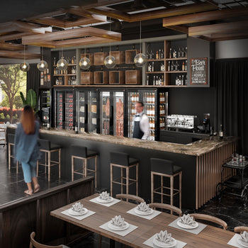 Dry Aged - Et Yaşlandırma Dolabı - 1,0 x 0,69 m - 2 Cam Kapılı